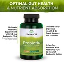 swanson-probiotic-for-digestive-health-g-5.jpg