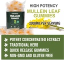 mullein-gummies---mullein-leaf-extract-f-2.jpg