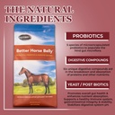 equerrys-better-horse-belly---supplement-3.jpg