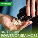 irish-sea-moss-capsules-17-in-1-seamoss--5.jpg