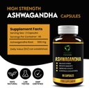 nature-fusion-ashwagandha-capsules-500mg-3.jpg