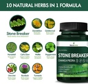 stone-breaker-chanca-piedra-capsules-for-4.jpg