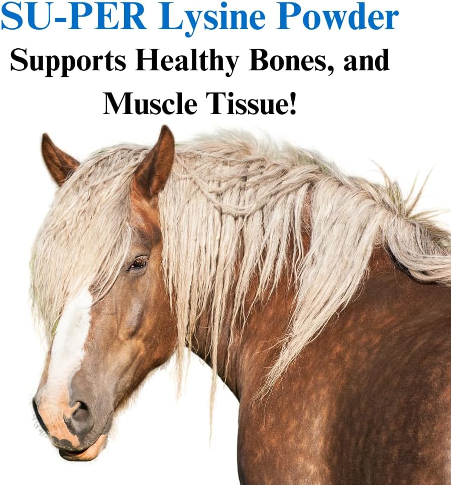 su-per-lysine-supplement-for-horses---su-3.jpg