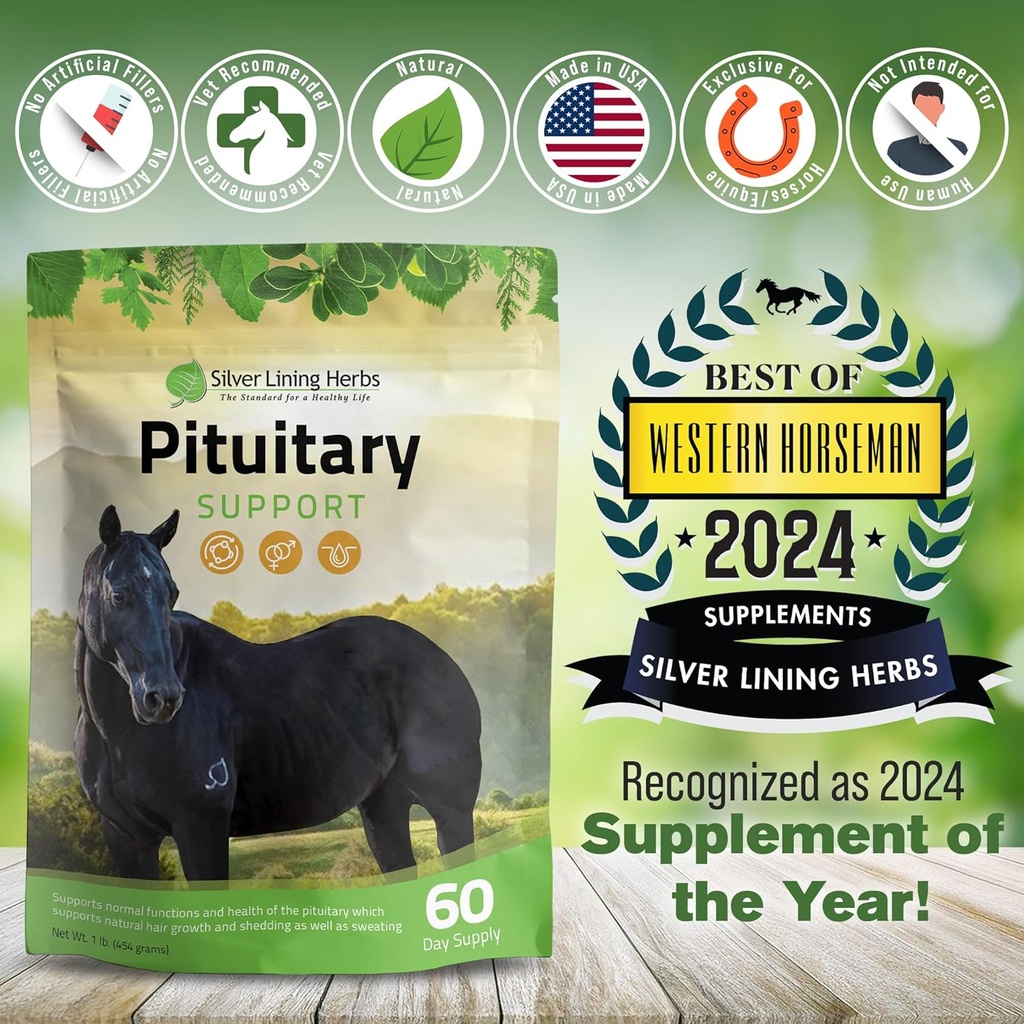 silver-lining-herbs-pituitary-gland-supp-5.jpg