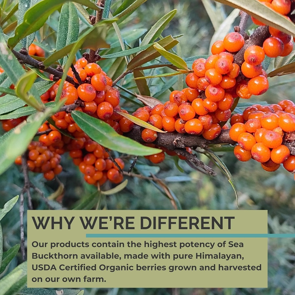 seabuckwonders-organic-sea-buckthorn-oil-5.jpg