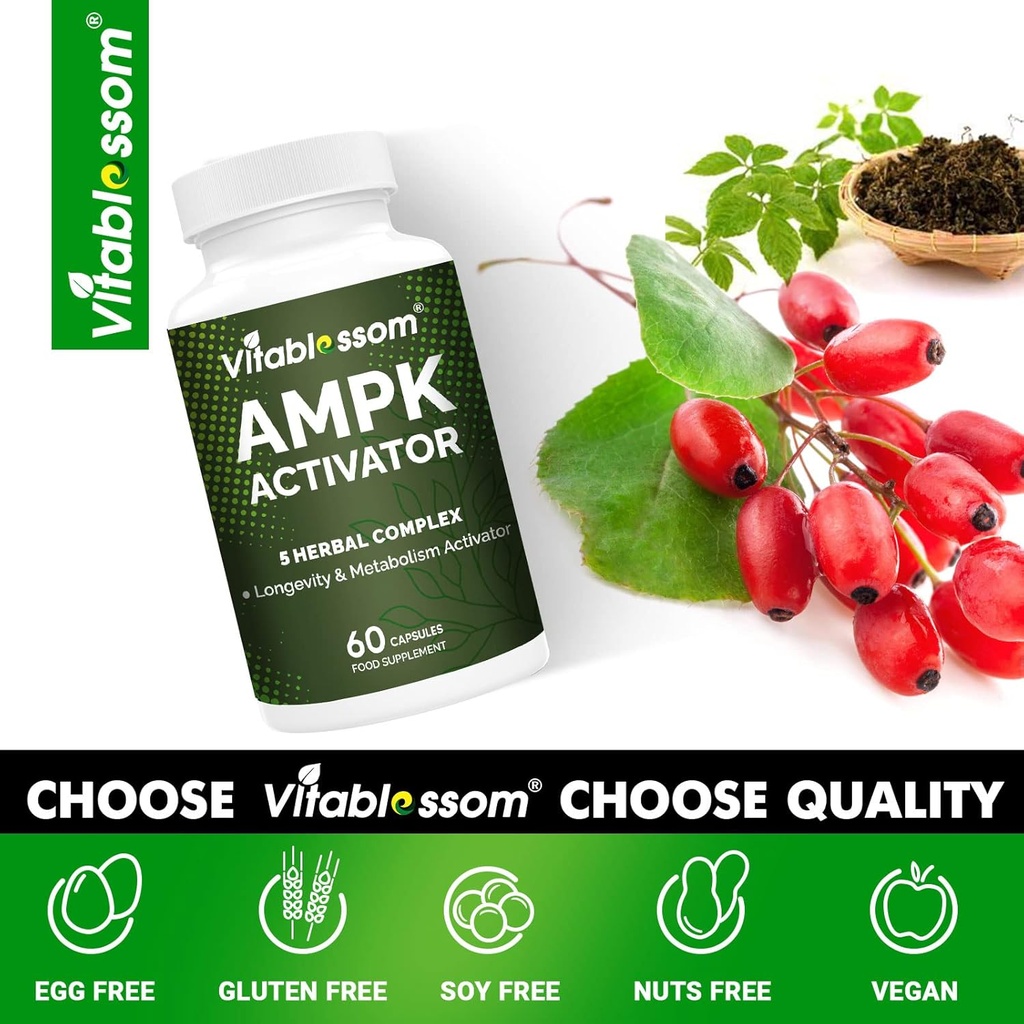 ampk-activator-supplement-5-in-1-jiaogul-6.jpg