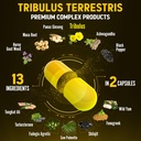 zolotus-13in1-tribulus-terrestris-capsul-5.jpg
