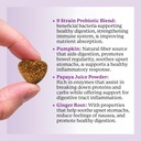 dr-harveys-digestive-probiotic-soft-chew-4.jpg
