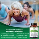 zazzee-extra-strength-alpha-gpc-choline--4.jpg
