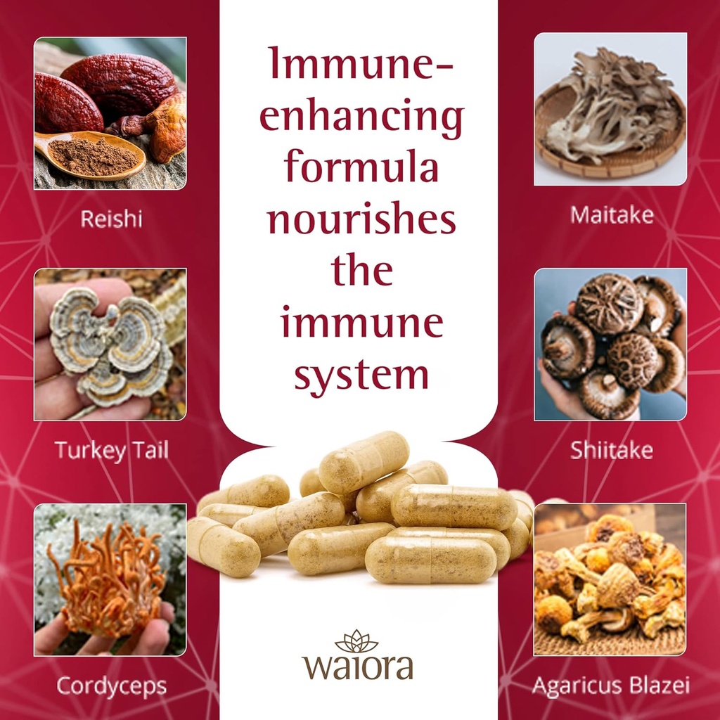 waiora-megadefense-mushroom-capsules-for-3.jpg