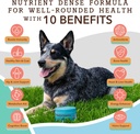 natural-dog-company-multivitamin-supplem-6.jpg