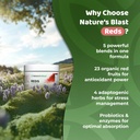 reds---metabolism-and-energy-superfood-p-5.jpg