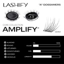 lashify-amplify-12mm-gossamerdiy-eyelash-3.jpg