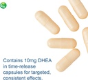 nutra-biogenesis-dhea-tr---dhea-for-endo-6.jpg