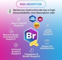 berberine-hcl-1200mg-supplement---berber-5.jpg