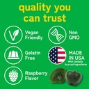 daily-super-greens-gummies-to-boost-ener-5.jpg