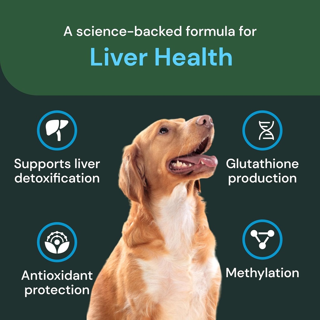 vetriscience-veterinary-strength-liver-h-4.jpg