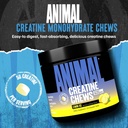 animal-creatine-chews-tablets---enhanced-2.jpg
