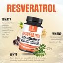 trans-resveratrol-supplements-extract-30-5.jpg