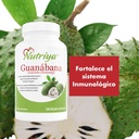 guanabana-graviola-soursop---super-antio-5.jpg