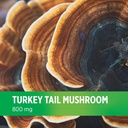 doctors-preferred-turkey-tail-mushroom-s-6.jpg