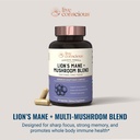 live-conscious-lions-mane-mushroom-suppl-4.jpg