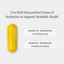 jshealth-vitamins-berberine-formula-berb-2.jpg