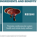 host-defense-reishi-powder---mushroom-my-6.jpg