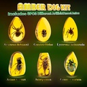 gobidex-amber-dig-kit-artificial-insect--2.jpg