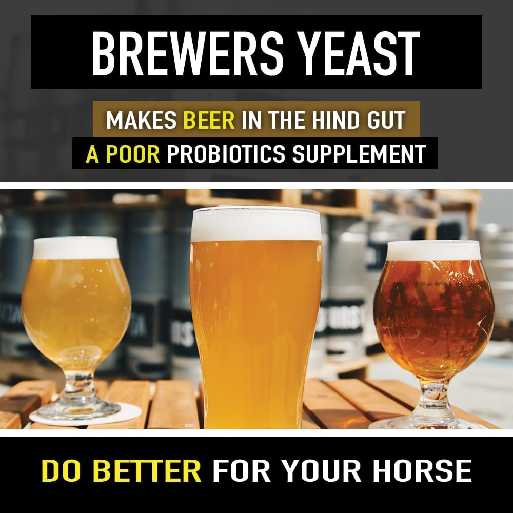 micro-encapsulated-probiotics-for-horses-3.jpg