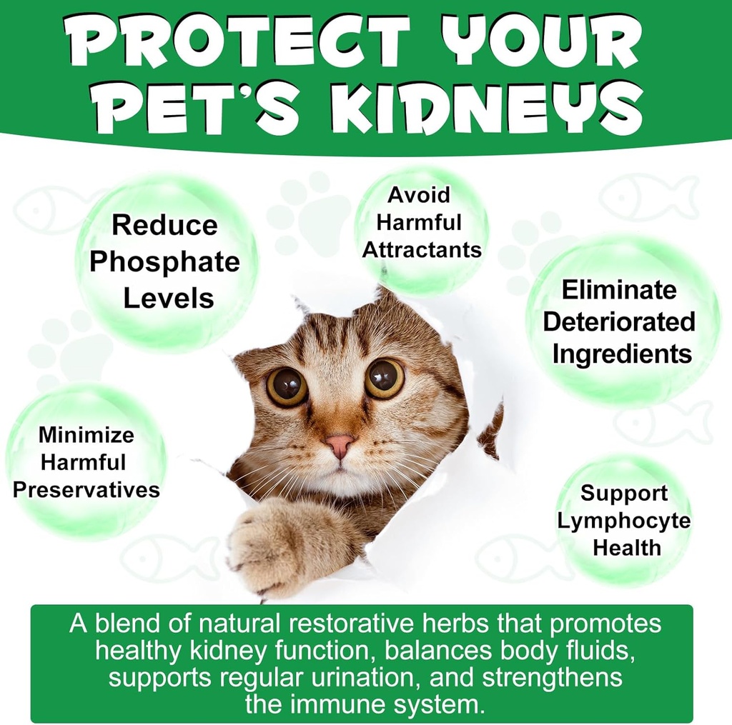 kidney-support-for-cats-cat-kidney-treat-5.jpg