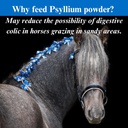 su-per-psyllium-horse-digestion-suppleme-3.jpg