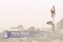 pure-original-ingredients-holy-basil-100-5.jpg