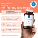male-preconception-fertility-supplements-6.jpg