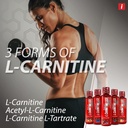 isatori-l-carnitine-ls3-1500-triple-blen-3.jpg