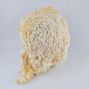 organic-lions-mane-mushroom-alcohol-tinc-6.jpg