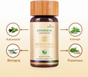 biogetica-livosolve-herbal-supplement-fo-4.jpg