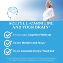 doctors-best-acetyl-l-carnitine-supports-6.jpg