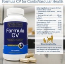 rx-vitamins-formula-cv---hawthorn-berry--6.jpg