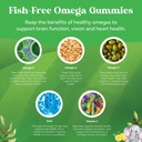 bundle-of-omega-dha-gummies-for-kids---f-6.jpg