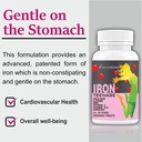 iron-tablets-60-tablets-pack-of-1-4.jpg