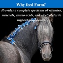 su-per-form-horse-vitamins-and-minerals--5.jpg