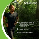 natures-plus-biotin-folic-acid-methylfol-4.jpg