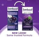 sambucol-black-elderberry-syrup---sambuc-2.jpg