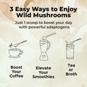 wild-foods-lions-mane-powder-mushrooms-e-6.jpg