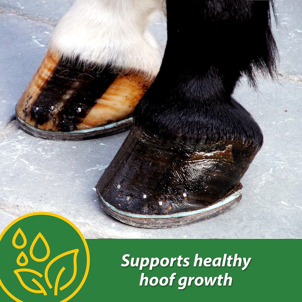 farnam-hb-15-hoof-supplement-supports-he-2.jpg