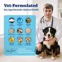 probiotics-for-dogs---dog-probiotics-for-2.jpg