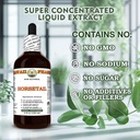 horsetail-alcohol-free-extract-glycerite-4.jpg
