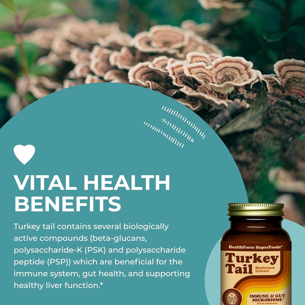 healthforce-superfoods-turkey-tail---cap-5.jpg
