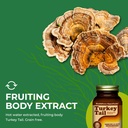 healthforce-superfoods-turkey-tail---cap-6.jpg